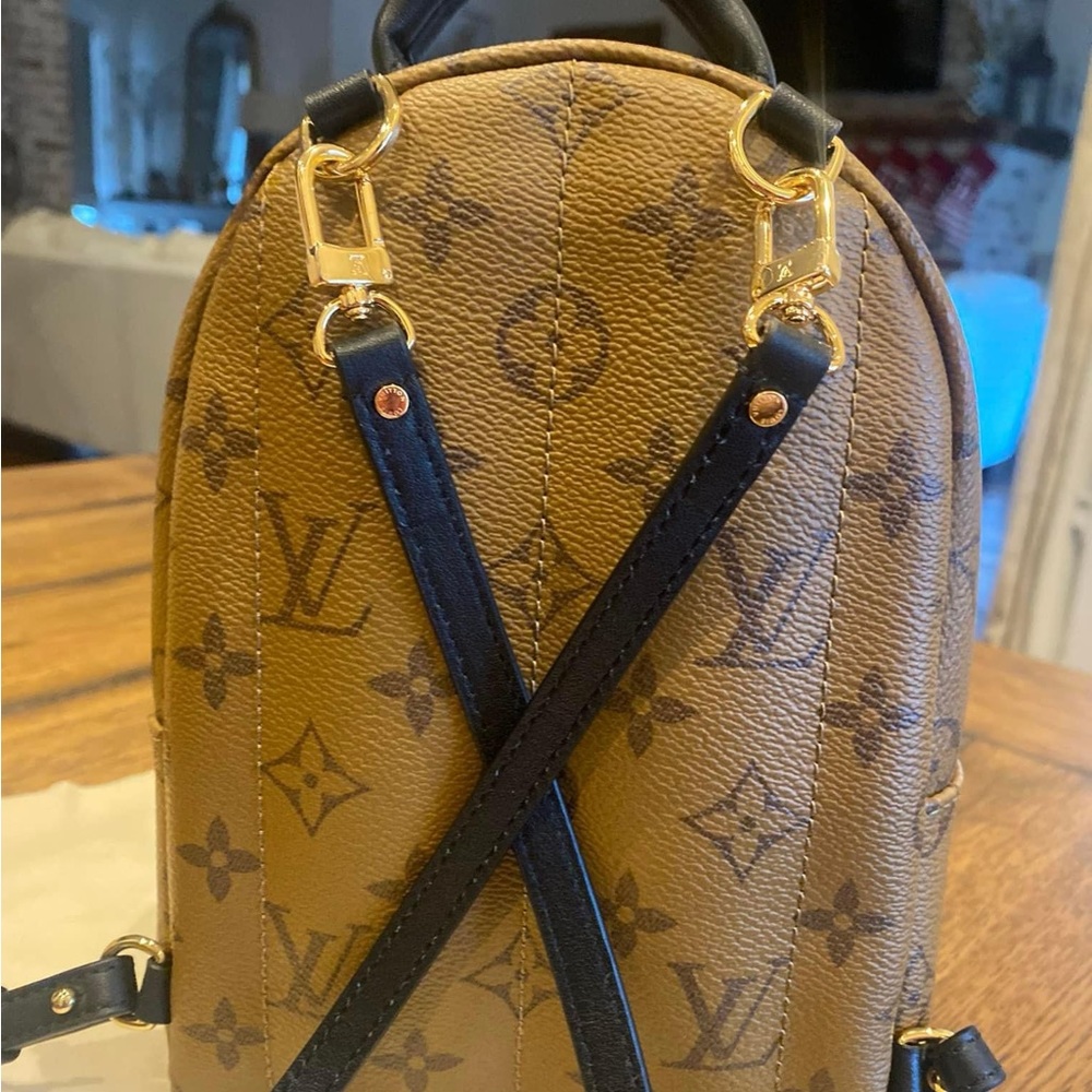 Louis Vuitton Reverse Palm Spring mini - Picture 5 of 6